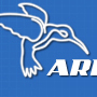 Arpedian - Logo Design